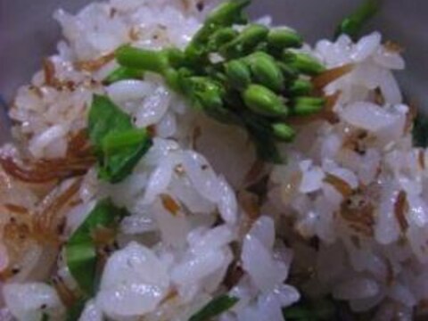 とっても簡単　ちりめん山椒とカブ菜の混ぜ御飯